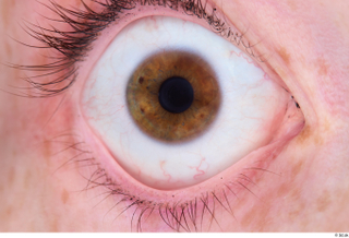 HD Eyes Lexi eye eyelash iris pupil skin texture 0001.jpg